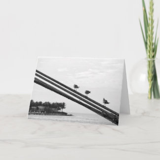 Carte De Remerciements Trois Petits Oiseaux ~ Vacances