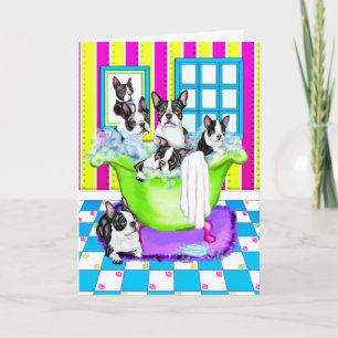 Carte De Remerciements Tubes Terrier de Boston Full