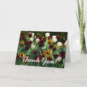 Carte De Remerciements Tulipes bordeaux et jaunes Floral coloré