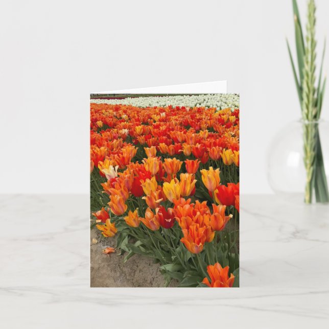 Carte De Remerciements Tulipes oranges dans le champ, Woodburn, OU (Devant)