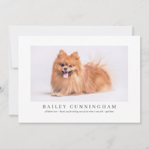 Carte De Remerciements Un Animal De Compagnie De Photo Moderne Et Simple 