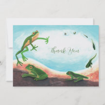 Un cycle de vie étonnant d'une grenouille