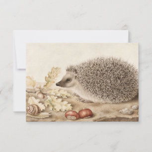 Carte De Remerciements Un hérisson dans un paysage par Giovanna Garzoni
