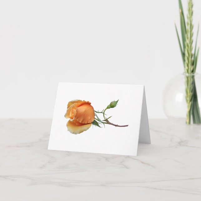 Carte De Remerciements Une bouture de rose unique         (Devant)