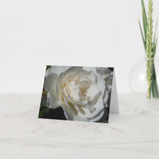 Carte De Remerciements une délicate respiration blanche de pureté et d'in