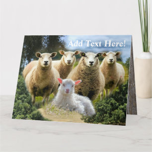 Carte De Remerciements Vestige de mouton Herbe de mouton Agneau de bébé