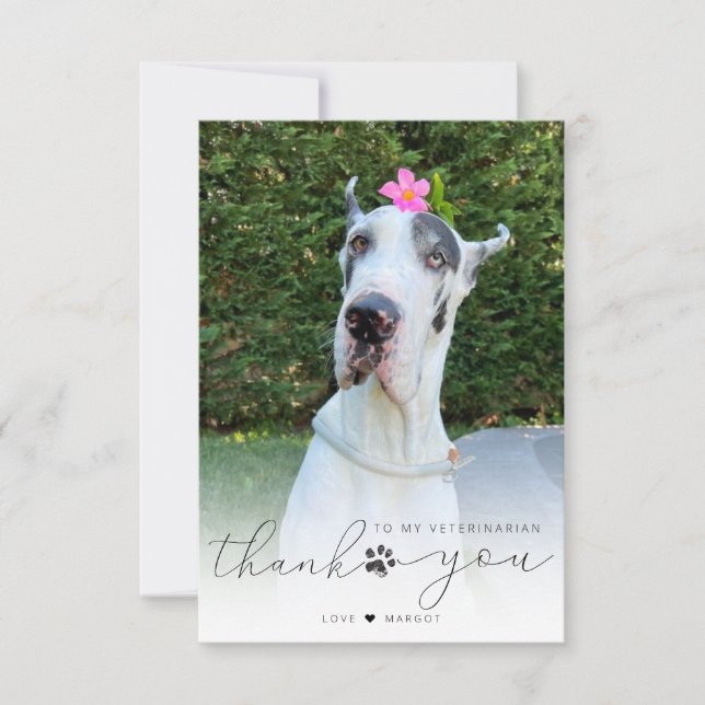 Carte De Remerciements Vétérinaire Personnalisé Soin des animaux de compa (Devant)