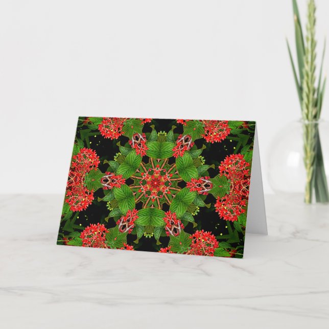 Carte De Remerciements Viburnum Berries Kaleidoscope (Devant)