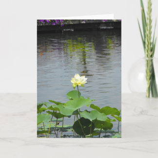 Carte De Remerciements Votre ~ 26 de message