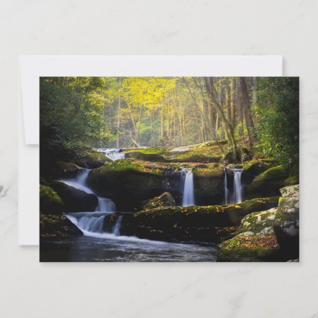 Carte De Remerciements Waterfalls | Great Smoky Mountain National Park (Devant)