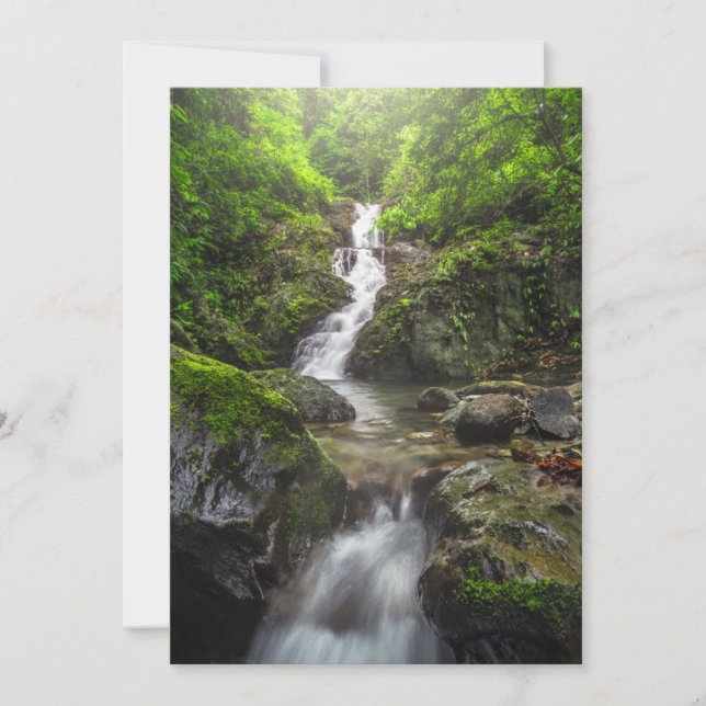 Carte De Remerciements Waterfalls | Phayao Mountain National Park (Devant)