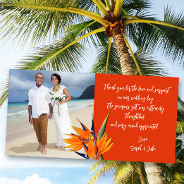 Carte De Remerciements Wedding Bird of Paradise Budget Photo Thank Cards