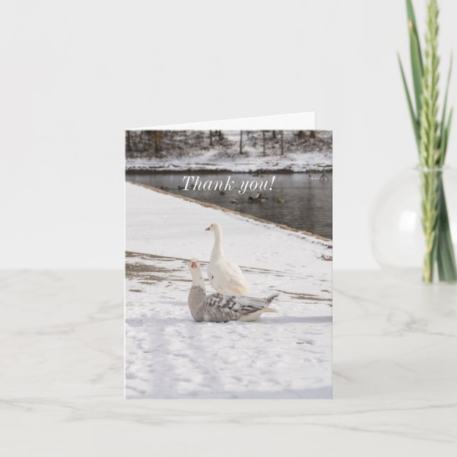 Carte De Remerciements Whats Up Goose (Devant)