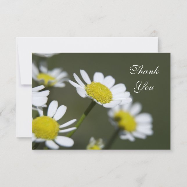 Carte De Remerciements White Daisers Thank You Notes - Flat (Devant)