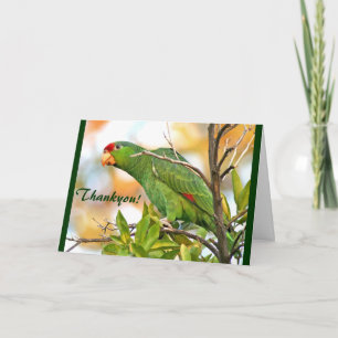 Carte De Remerciements Wild Parrot Thankyou ! Card