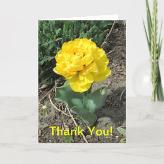 Carte De Remerciements Yellow Tulip Thank