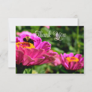 Carte De Remerciements Zinnia rose avec bourdon, fleurs roses, abeille mi