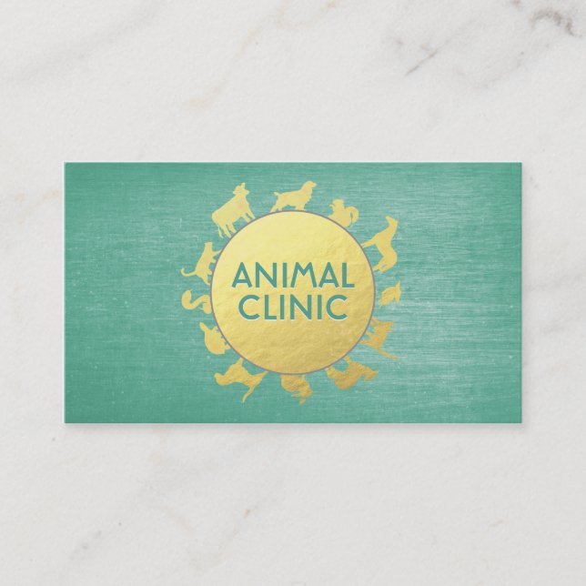 Carte De Rendez-vous Clinique Animale Hôpital Soins pour animaux de com (Devant)