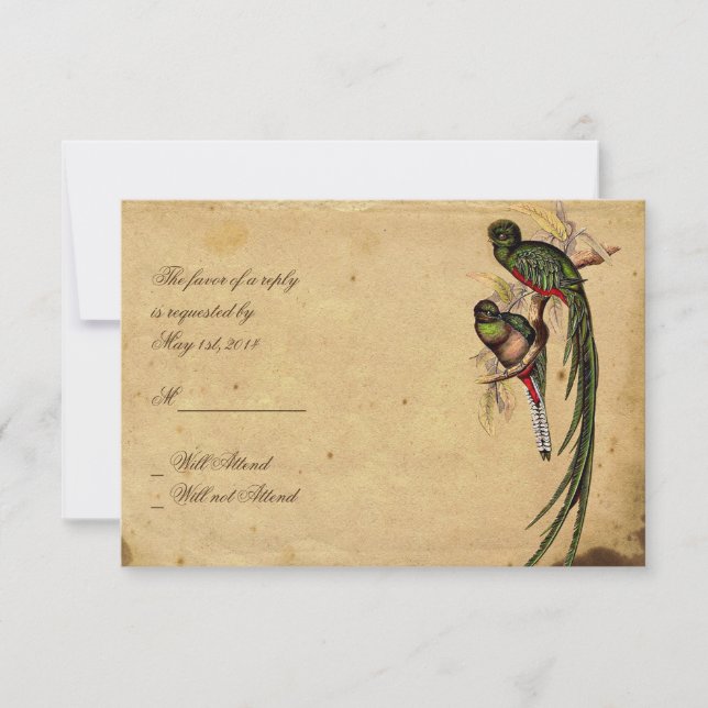 Carte de réponse élégante aux oiseaux du Quetzal v (Devant)