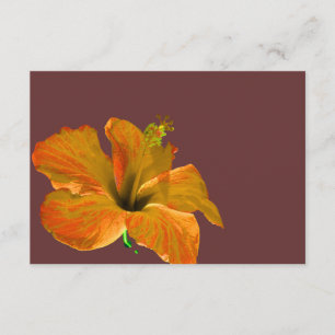 Carte de réponse Mariage Invité RSVP Couleurs d'au