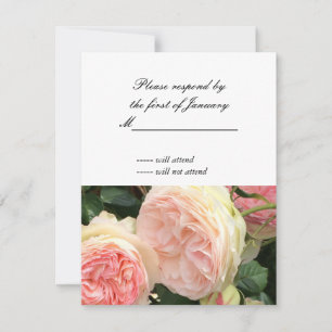 Carte de réponse Rose rose et crème