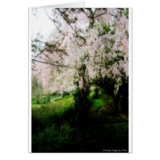 Carte de ressort glorieuse