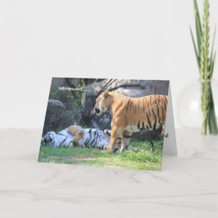 Carte de retraite amusante, tigre endormi
