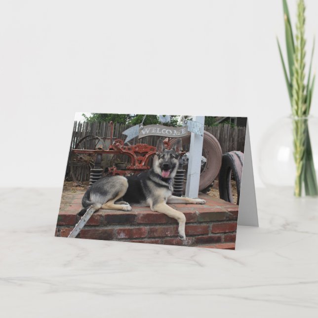 Carte de retraite pour chien chanceux Berger allem (Devant)
