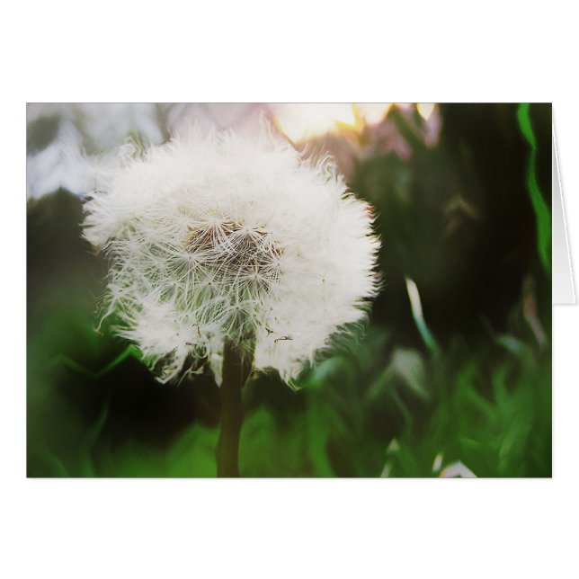 carte de rêve (Devant horizontal)