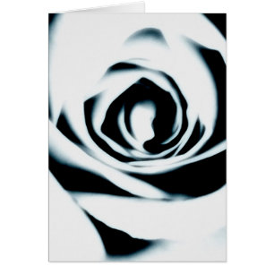 Carte de rose blanc