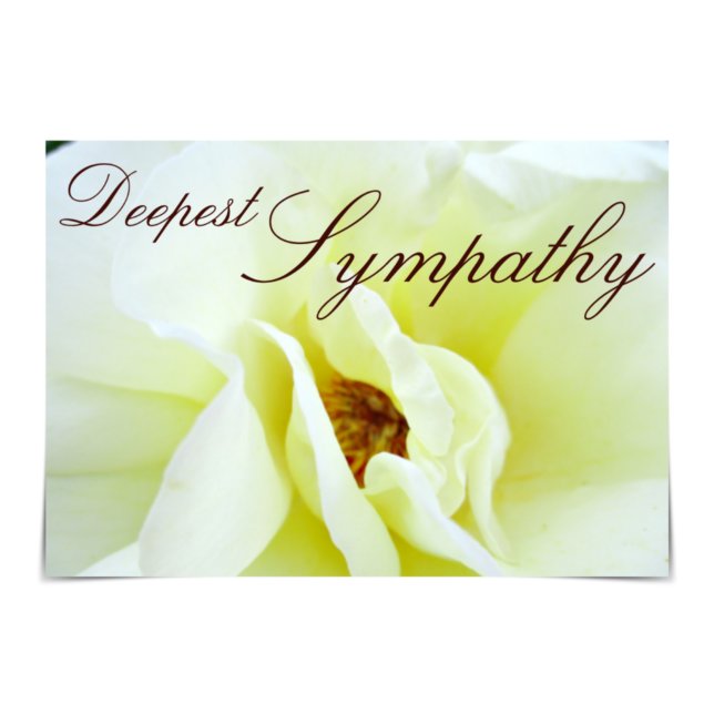 Carte de Rose "Deepest Sympathy" blanche Rugosa (Créateur téléchargé)