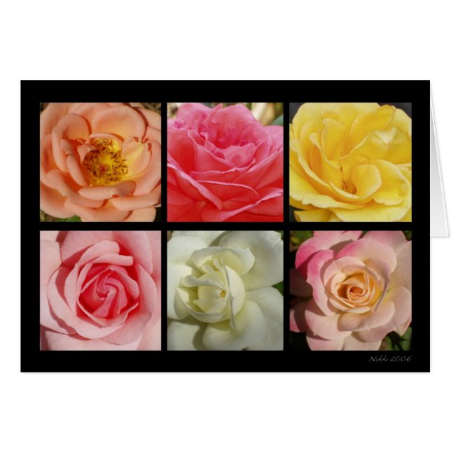 Carte de roses (Devant horizontal)