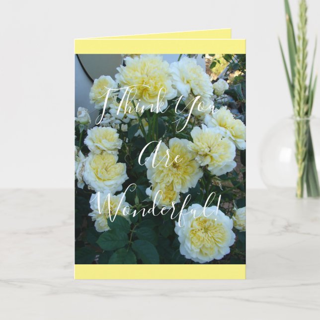 Carte de roses jaunes David Austin dans un jardin  (Devant)