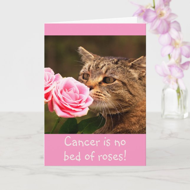 Carte de sagesse pour cancer Kitty (Orchidée)