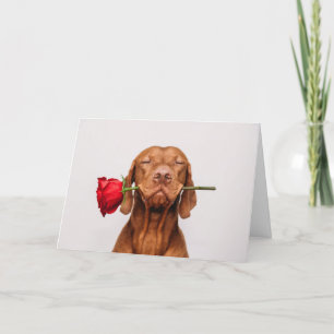 Carte de Saint Valentin Chien mignon
