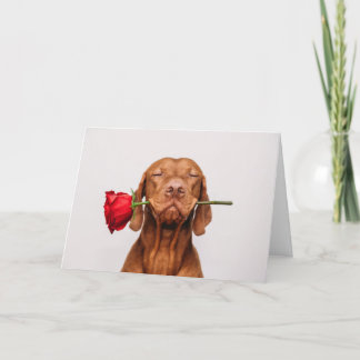Carte de Saint Valentin Chien mignon