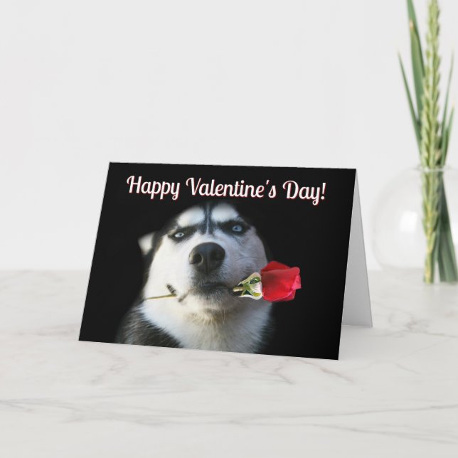 Carte de Saint Valentin Cute Husky Rose (Devant)