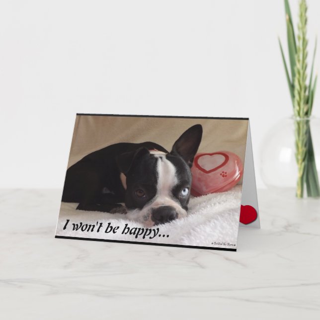 Carte de Saint-Valentin de Boston Terrier (Devant)
