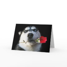 Carte de Saint-Valentin de chien de traîneau