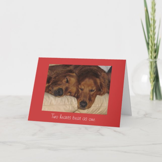 Carte de Saint-Valentin de golden retriever, deux (Devant)