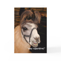 Carte de Saint-Valentin de Llove de lama