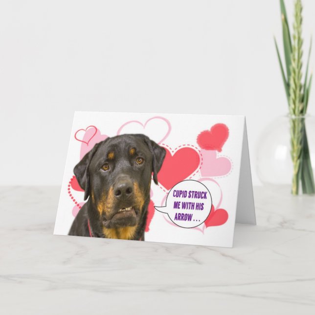 Carte de Saint-Valentin de rottweiler (Devant)