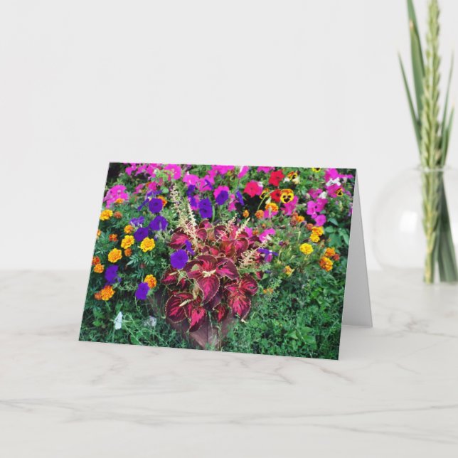 CARTE DE SALUT : Fleurs mixtes dans un jardin_ (Devant)