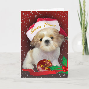 Carte de Santa Paws