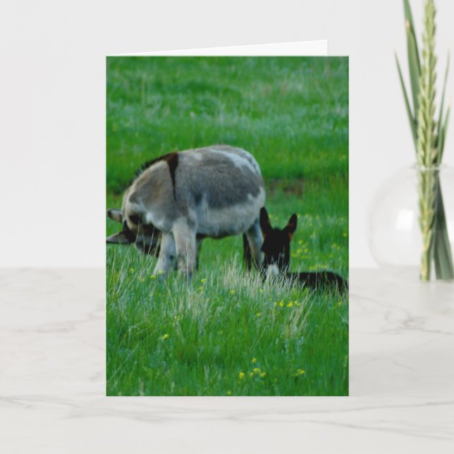 Carte de scène de la nature (Devant)