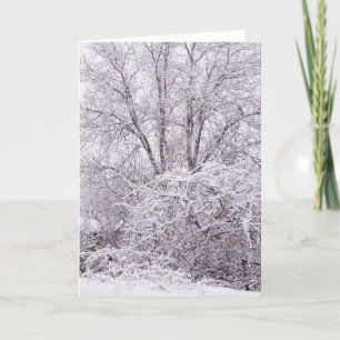 Carte de scène d'hiver vide