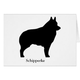 Carte de Schipperke