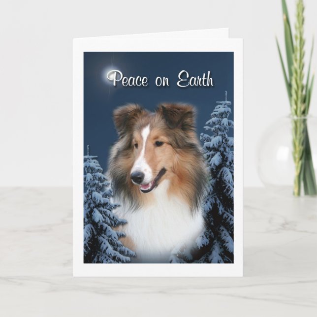 Carte de Sheltie de paix (Devant)