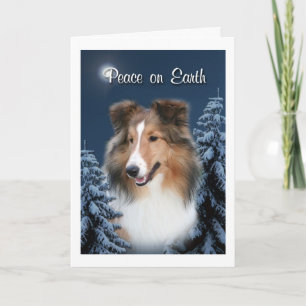 Carte de Sheltie de paix