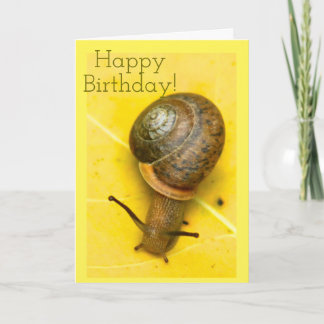 Carte de snail mail